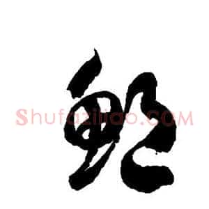 鲍