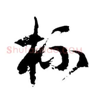 杯