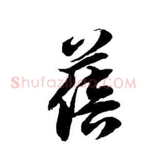 蓓