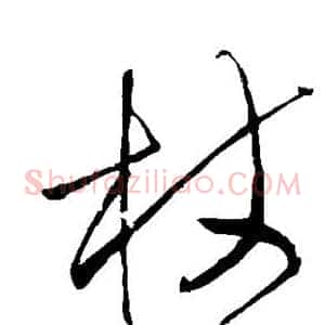 杖