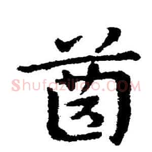 齿