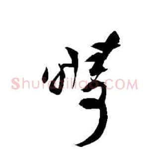 畴