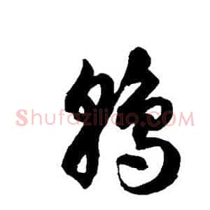 鹑
