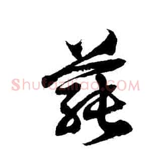 蓴