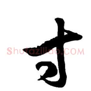 寸