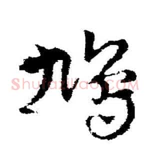 鸠