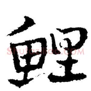 鲤