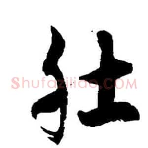 肚