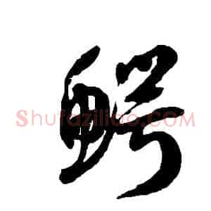 鱷