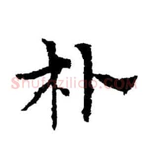 朴