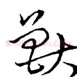 兽