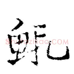 蝦