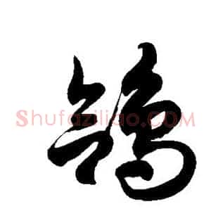 鸽