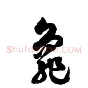 龟