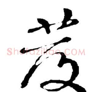 发