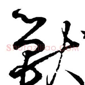 兽