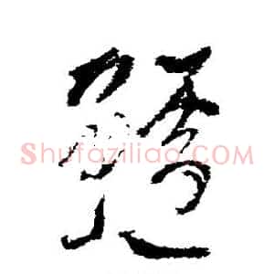 鲈