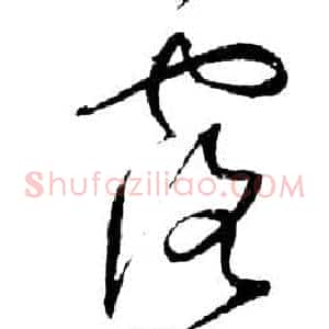 露