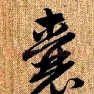 囊