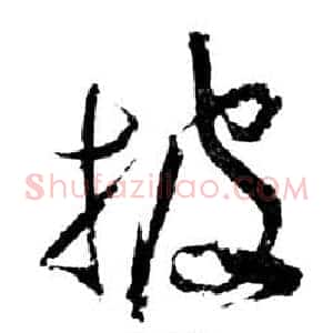 披