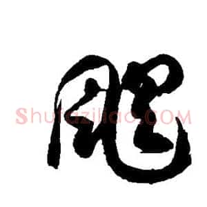 飓