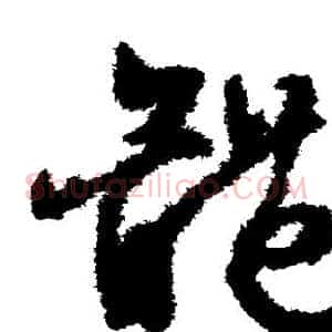 体