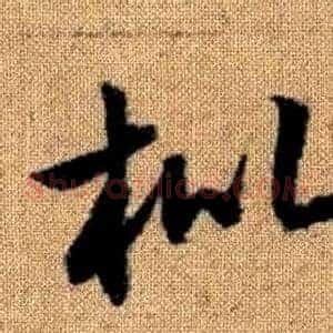 枇