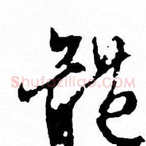 體