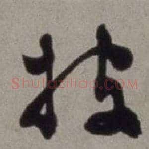 披