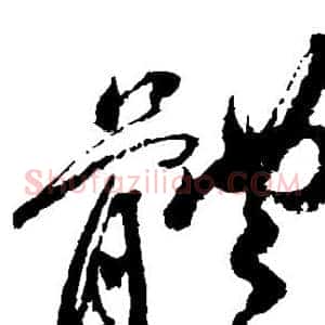 体