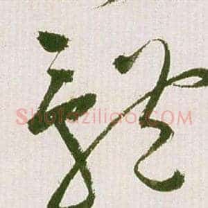 體