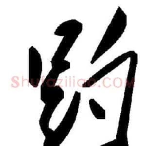趵