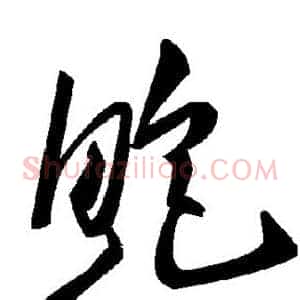 鲍