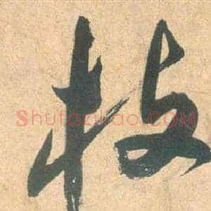 枝