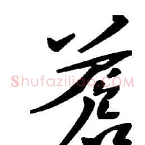 苍