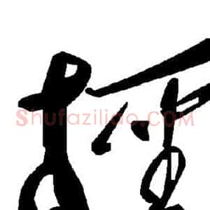 柽