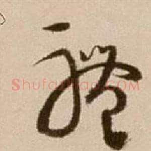體