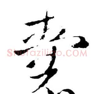 囊