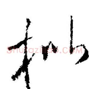 枇