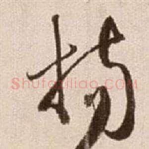 楊