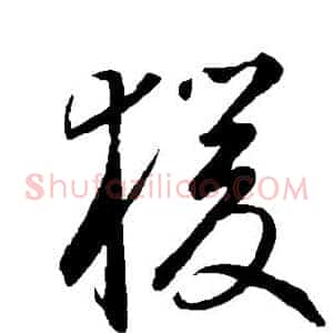 猿