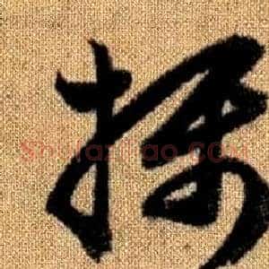 攝