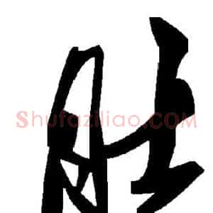 肚