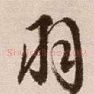羽