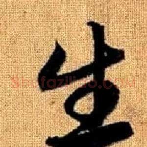 生