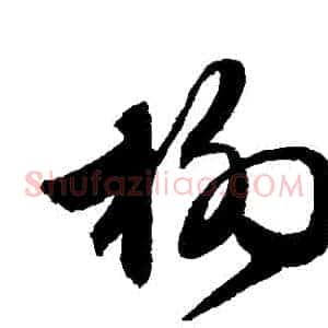 楊