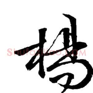 杨