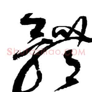 體