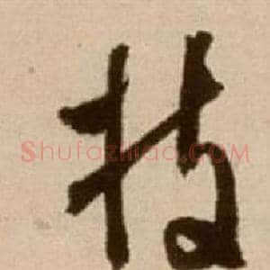 枝