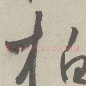 柏